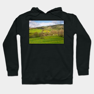 DSC_0116_WGC Hoodie